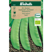 Sukkerært 'Norli' økologisk